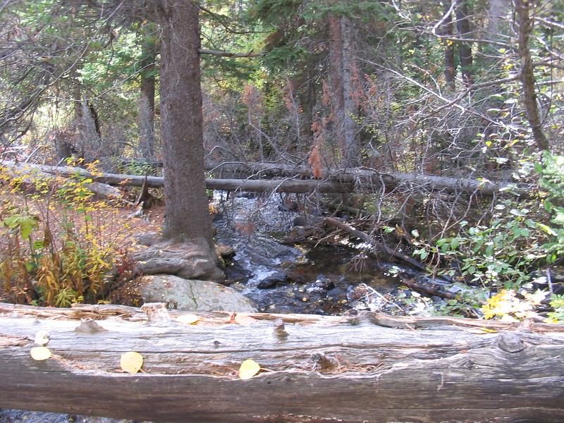 154_5414.JPG