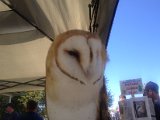 IMG_1948.JPG