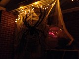IMG_1991.JPG