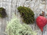 IMG_2027.JPG