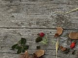 IMG_2030.JPG