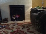IMG_2047.JPG