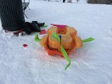 IMG_2059.JPG