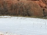 IMG_2073.JPG
