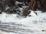 IMG_2077.JPG