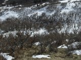 IMG_2084.JPG