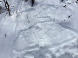 IMG_2086.JPG