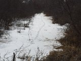 IMG_2087.JPG