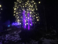 IMG 4874  Botanical Garden Christmas Lights