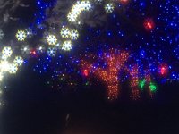 IMG 4886  Botanical Garden Christmas Lights