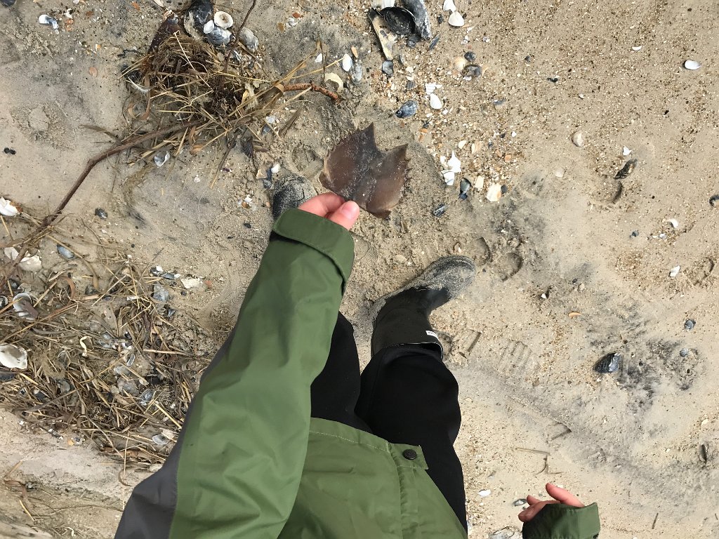 IMG 0144