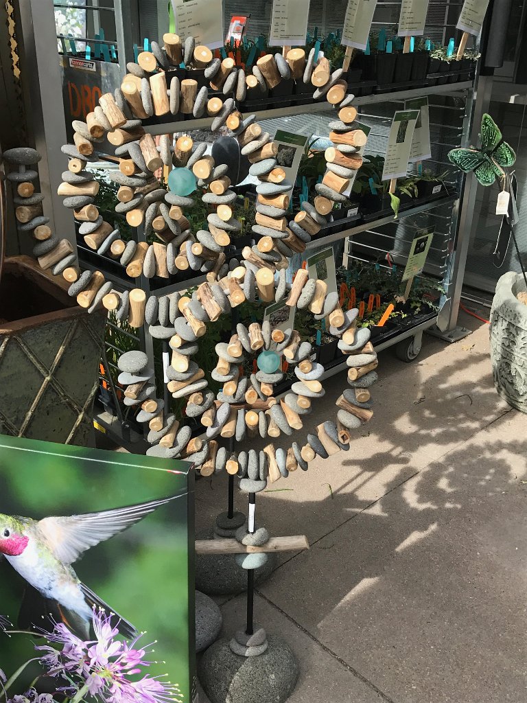 IMG 0297