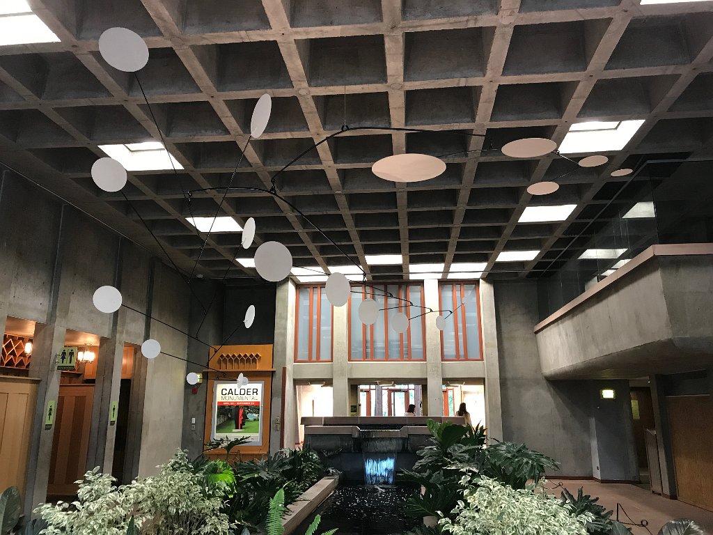IMG 0310