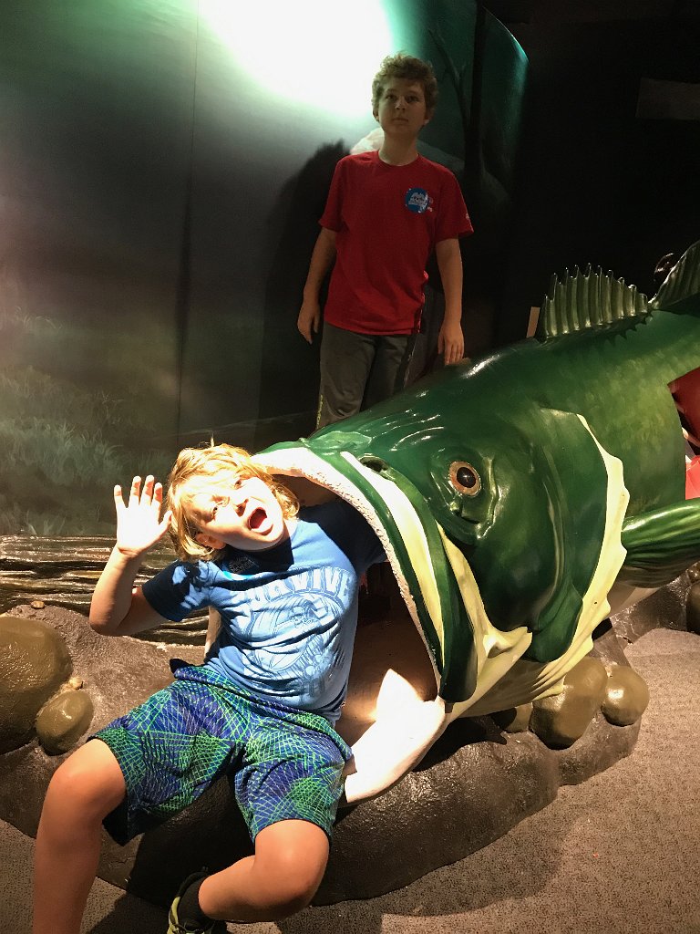 IMG 0428