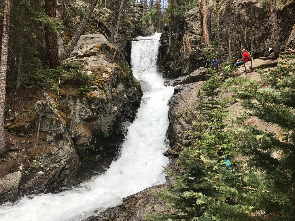 IMG 0479