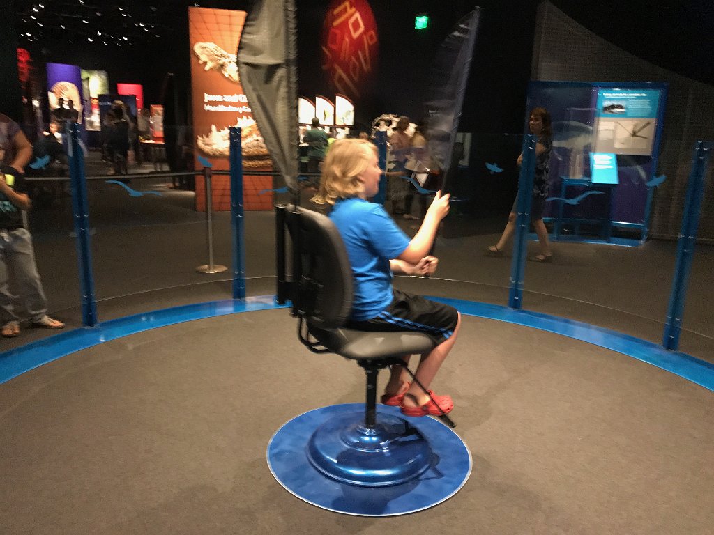 IMG 0538