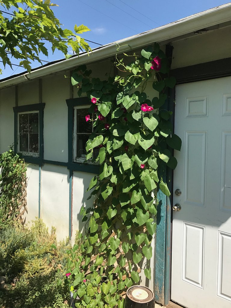 IMG 0615