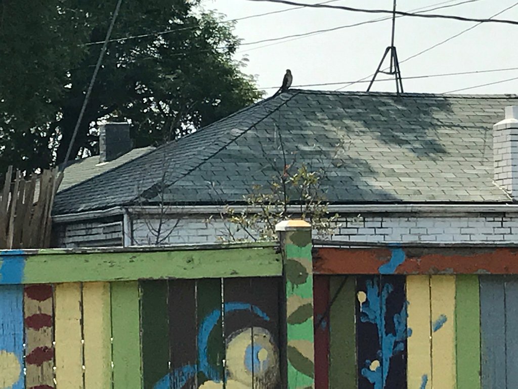 IMG 0622