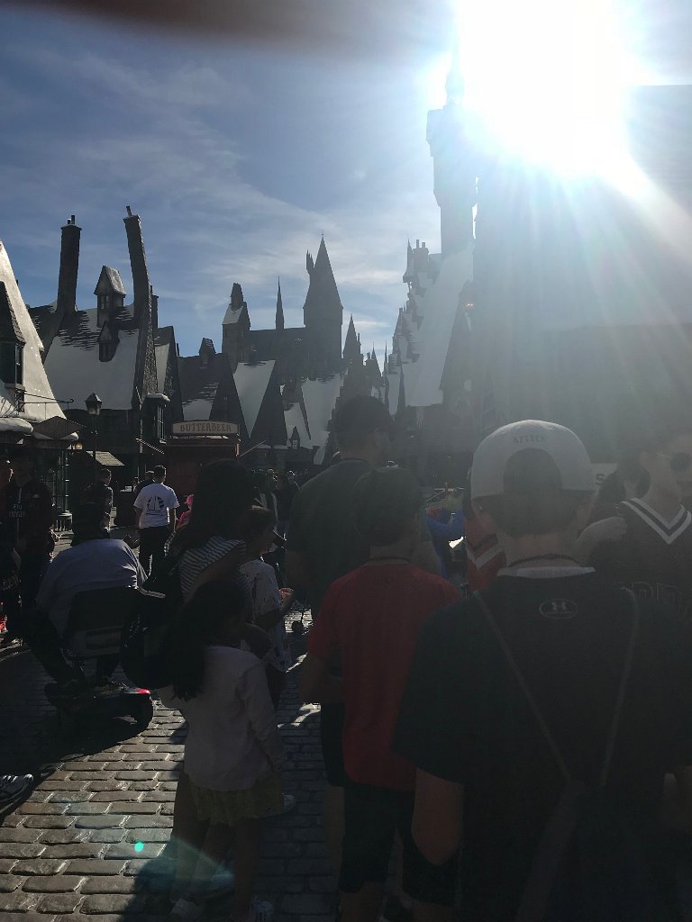 IMG 1050