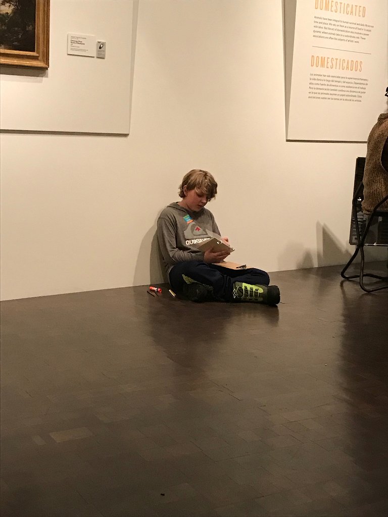 IMG 1151