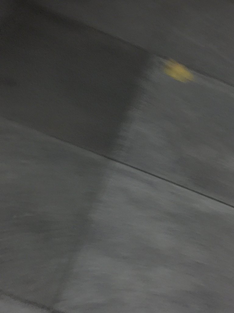 IMG 5956
