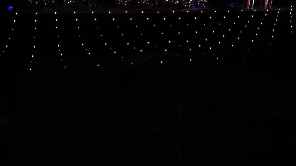 IMG 7107