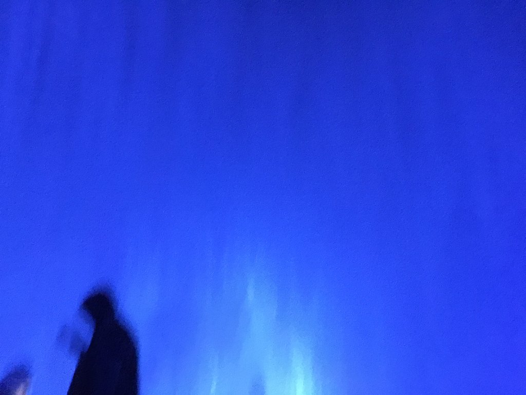 IMG 7142