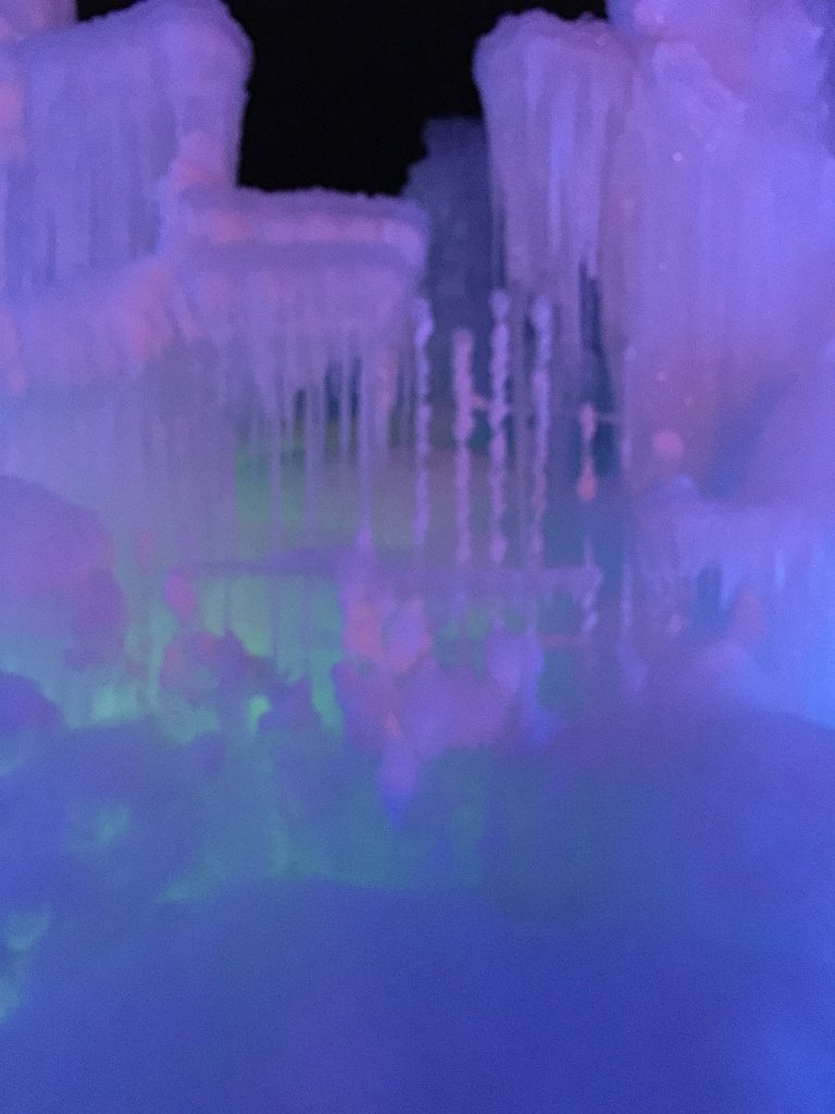 IMG 7163