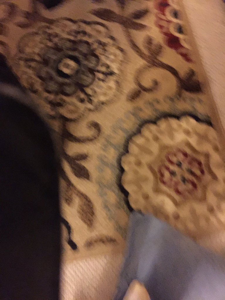 IMG 7172
