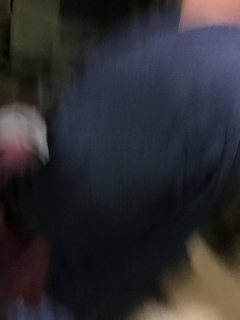 IMG 7311