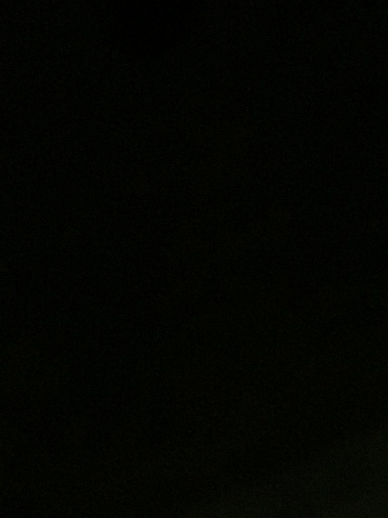 IMG 7345