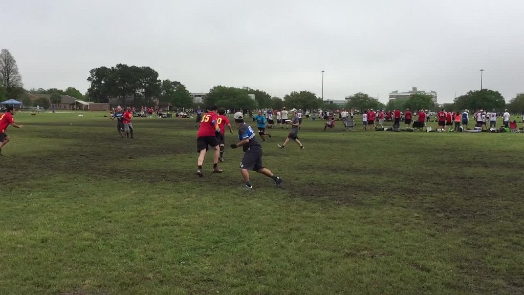 IMG 7352