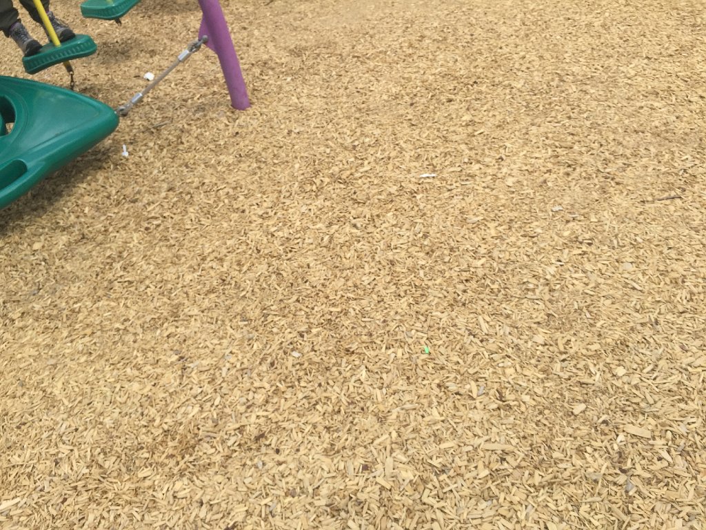 IMG 7415