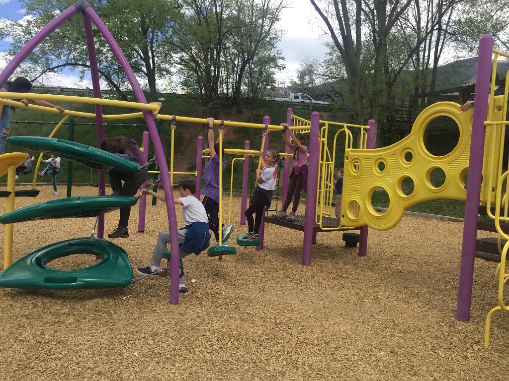 IMG 7417