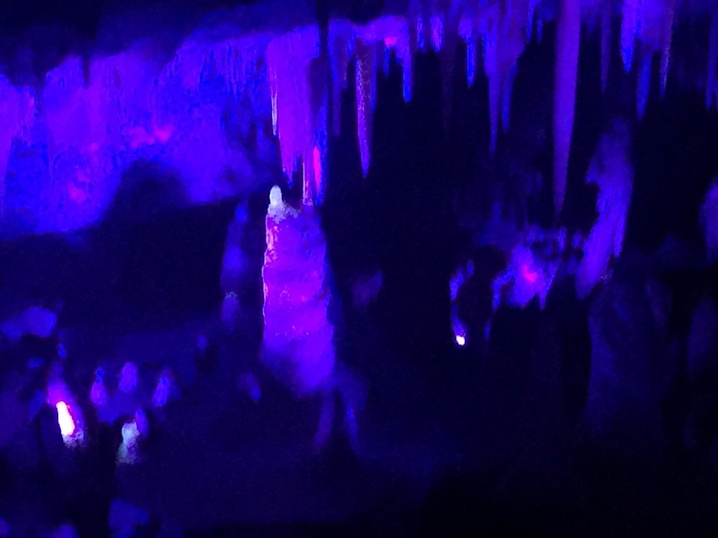 IMG 7434