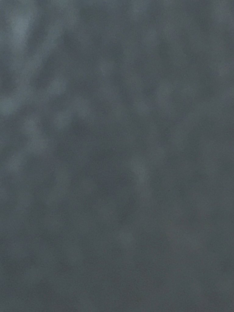 IMG 7606