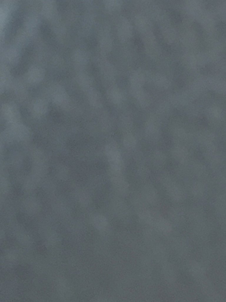 IMG 7607
