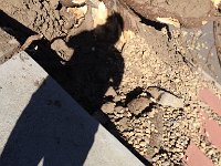 IMG_6357.jpg