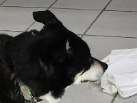 IMG_7330.jpg