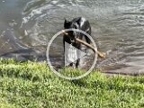 IMG_3417