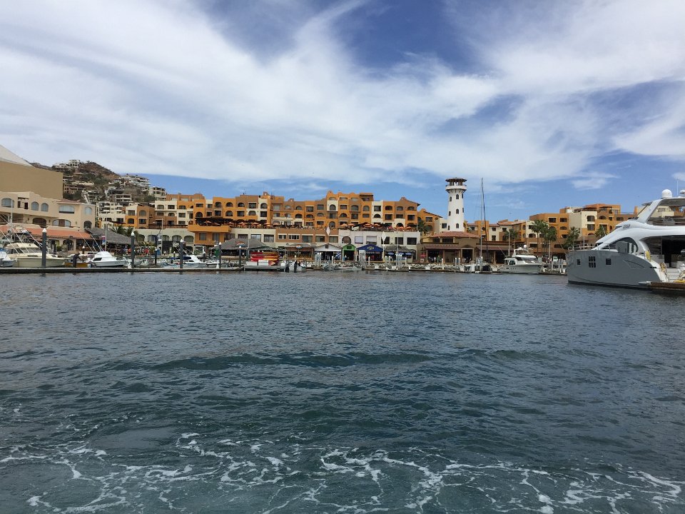 IMG 3909