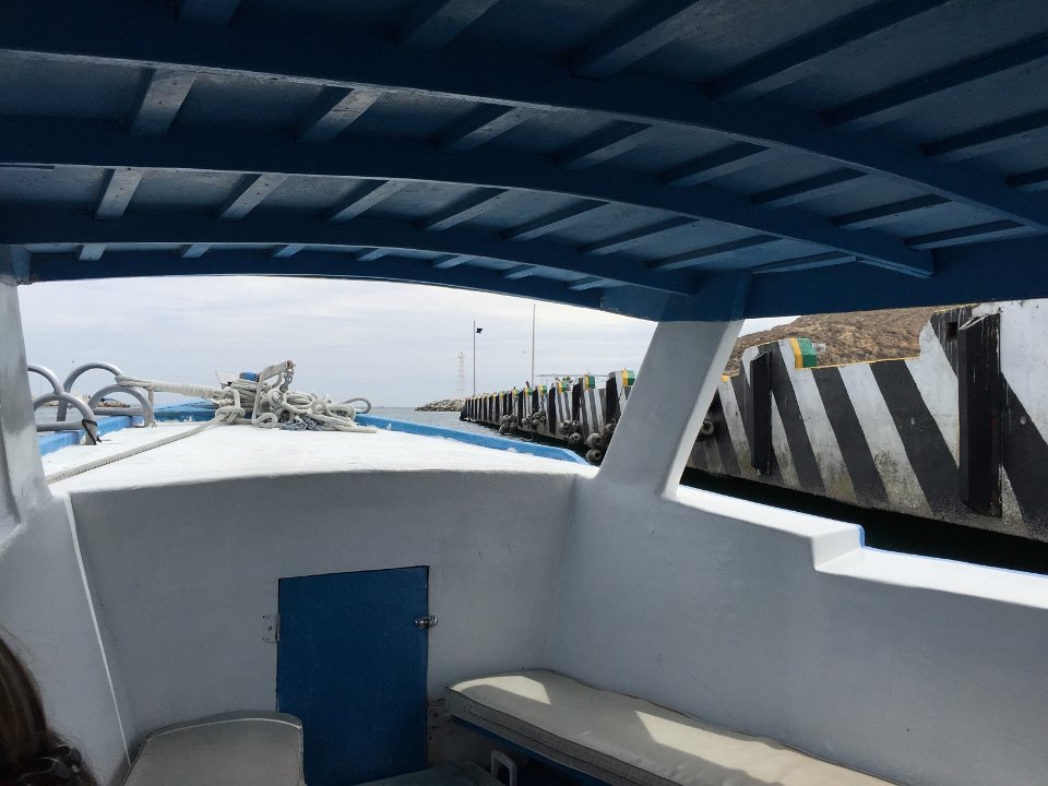 IMG 3911